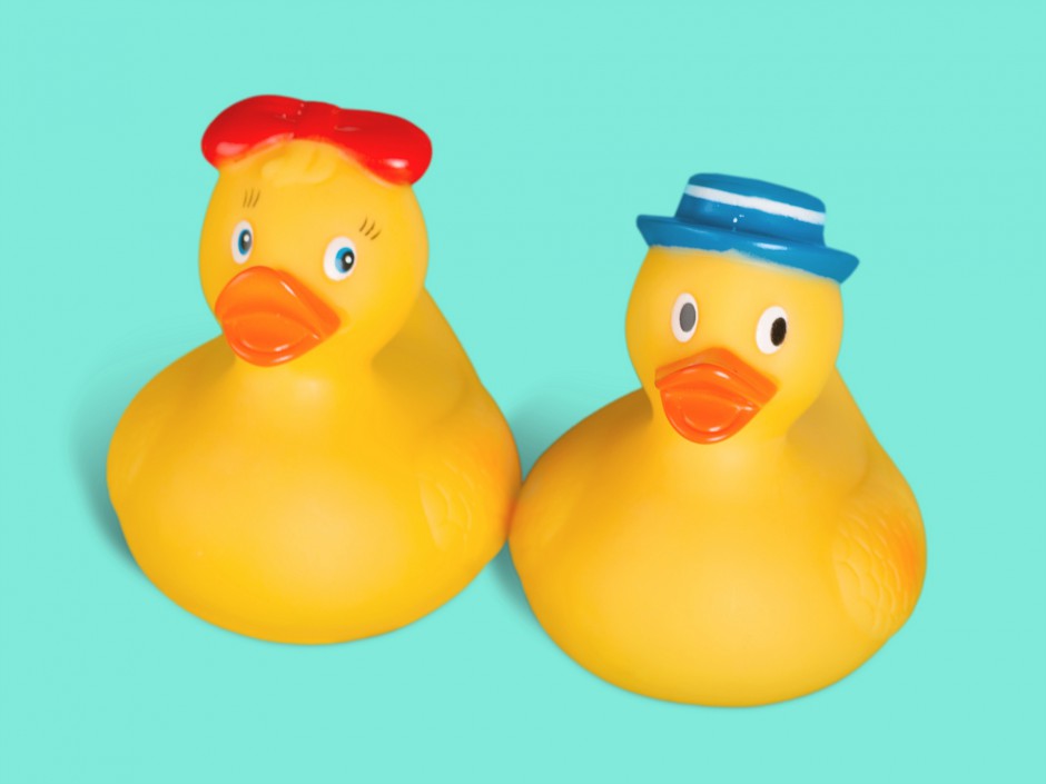 best toys for birds