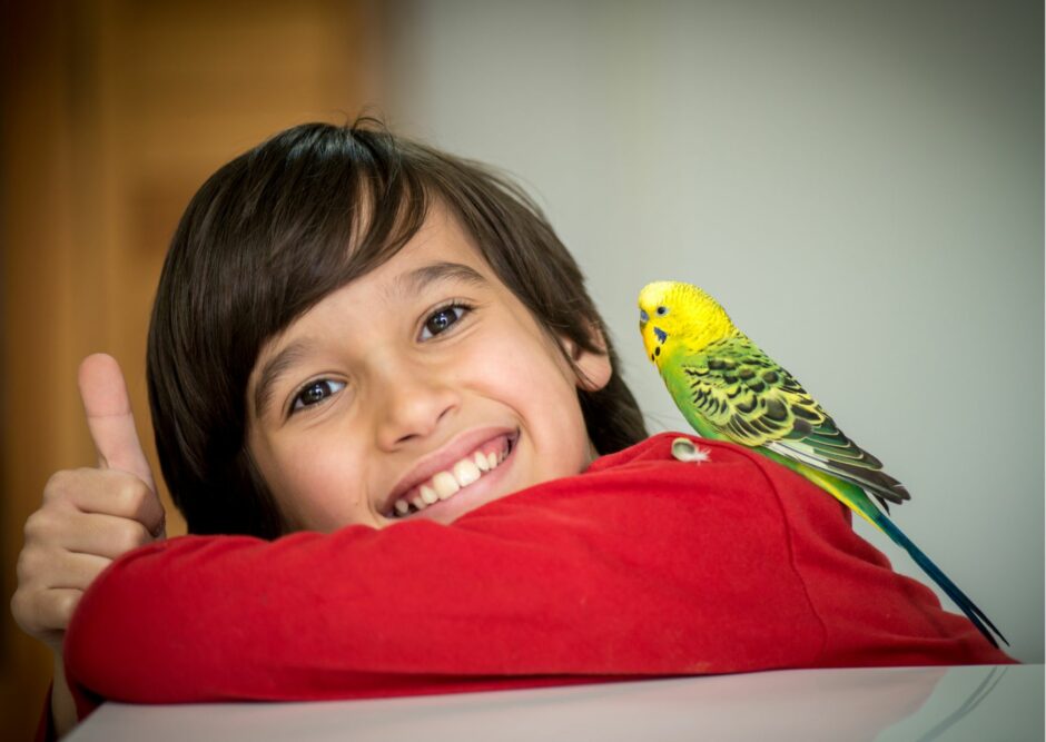 good pets for children