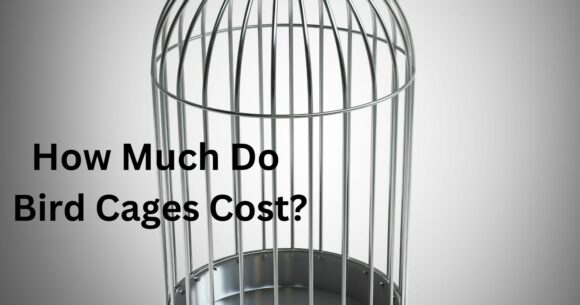 how much do bird cages cost