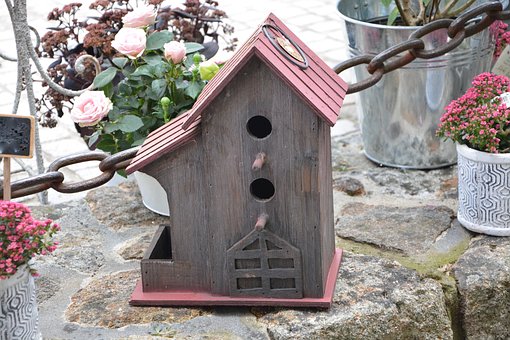 building a bird house