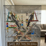 safe pet toys for birds