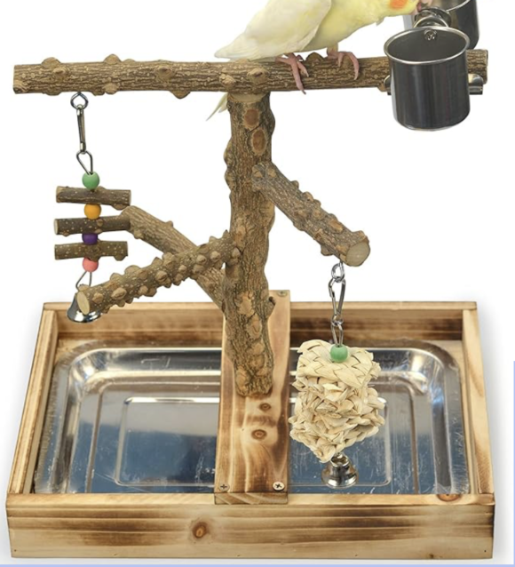 wall mounted entertainment centre for parrots