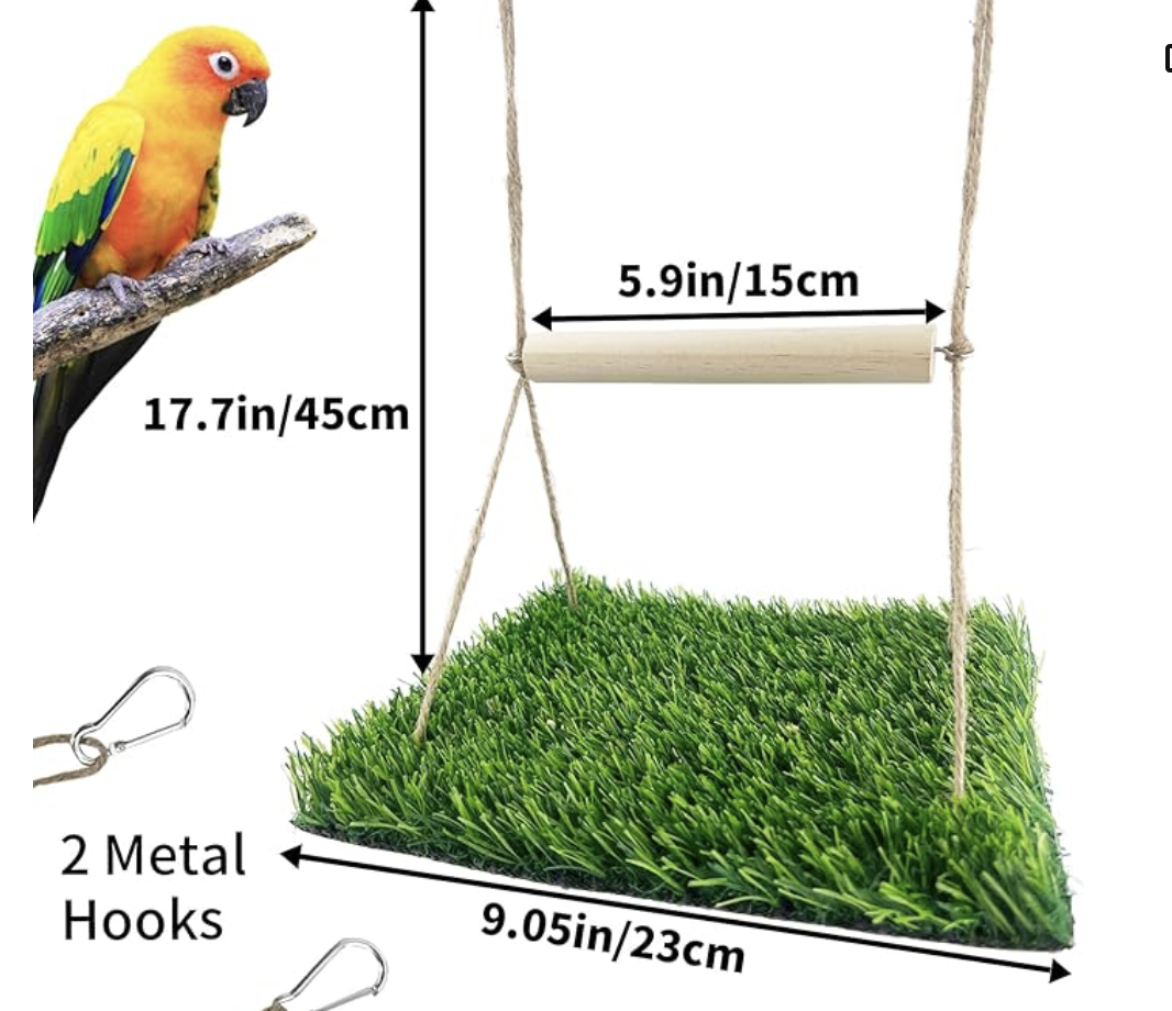 best bird swing for parrots