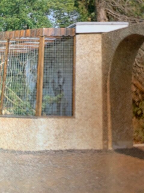 build your own bird aviary