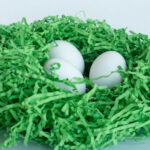 why do birds lay unfertilized eggs