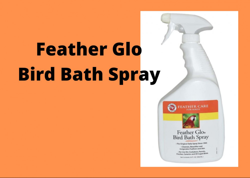 Feather Flo Bird Bath Spray