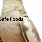 safe foods for cockatiels