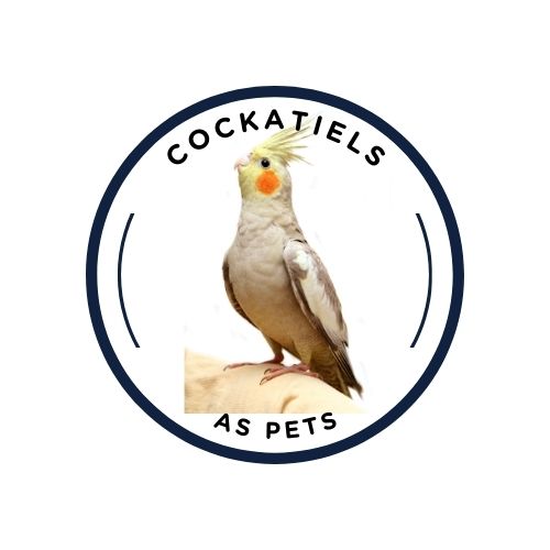 cockatiels as pets