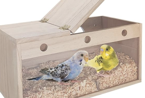 cockatiel breeding supplies