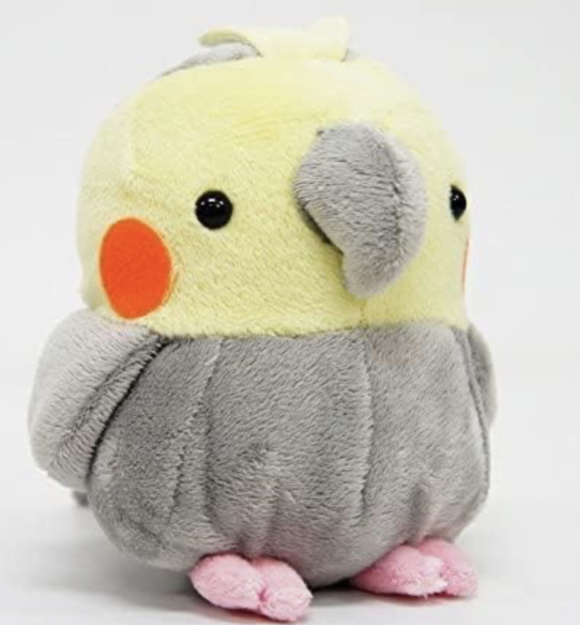best cockatiel toys